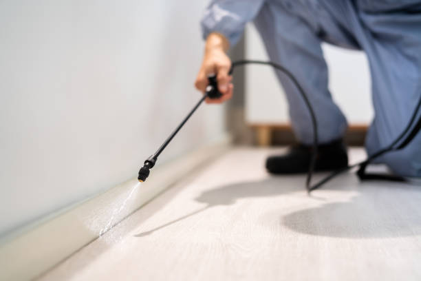 Certified termite inspector examining foundation in Eaton