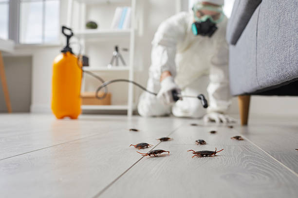 Post-Treatment Bed Bug Interceptor Monitoring in Eaton
